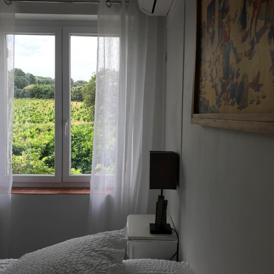 Chambres D'Hotes Et Gites Le Mas Mellou Orange  Luaran gambar
